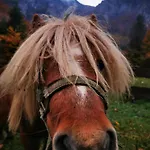 U Konc Stahovica