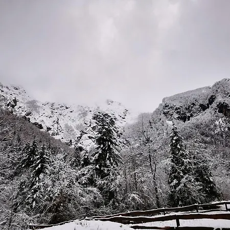 U Konc * Stahovica