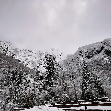 U Konc * Stahovica