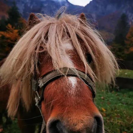 U Konc Stahovica